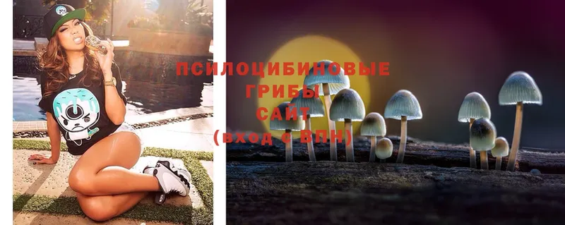 Галлюциногенные грибы Psilocybine cubensis  наркота  блэк спрут сайт  Карабулак 